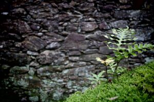 高反発マットレスの中硬度に関する口コミはどれが参考になる？