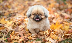 コスパの良いマットレスはどれがおすすめ？