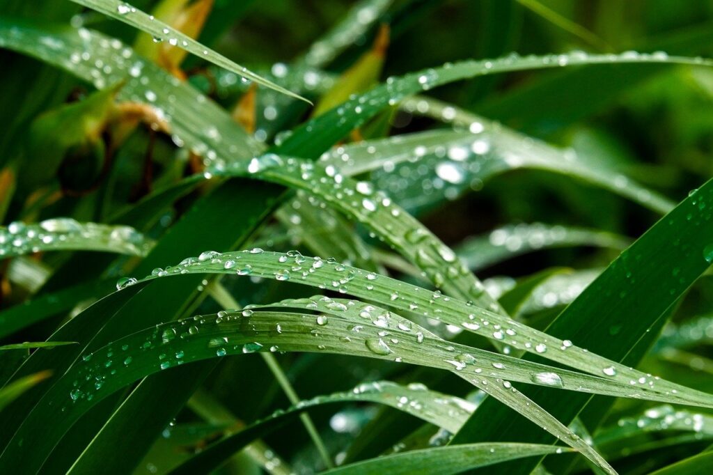 コスパ最強のマットレスを選ぶ際のポイントは？