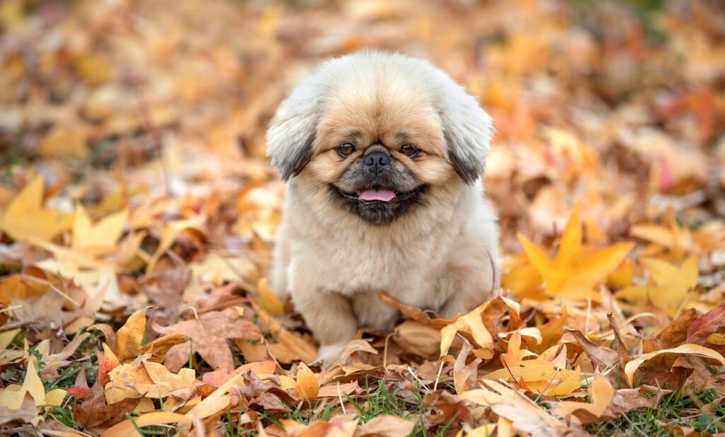 マットレスの硬さ比較で自分に最適な寝具を見つけるには？