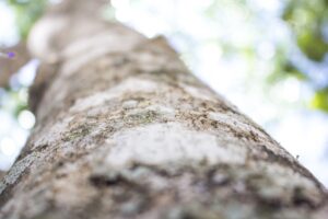 高反発敷布団はへたりにくい？その理由と選び方を解説！