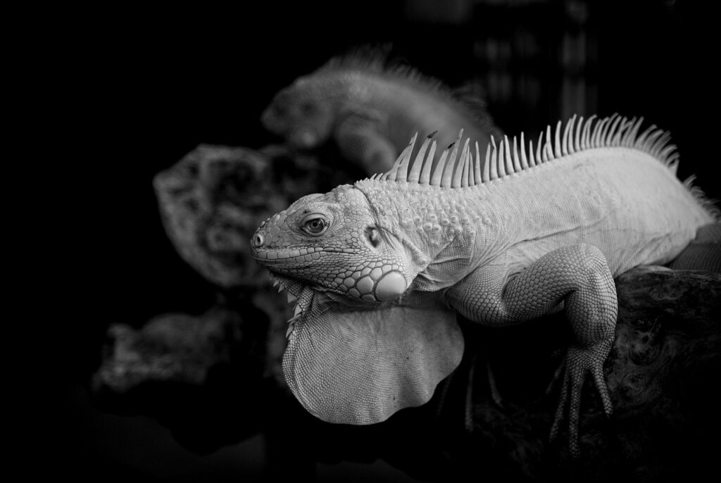 高反発敷布団の反発力はどのように選ぶべきか？