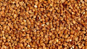 何年使える製品の耐久性とおすすめの選び方は？