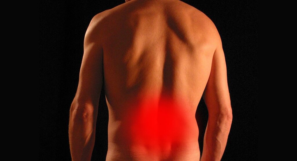高反発敷布団の腰痛対策、ニュートン表示はどこを見るべき？